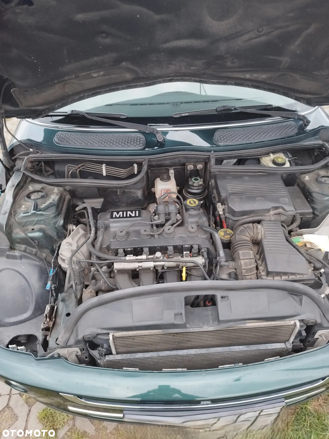 MINI Cooper Standard - 7