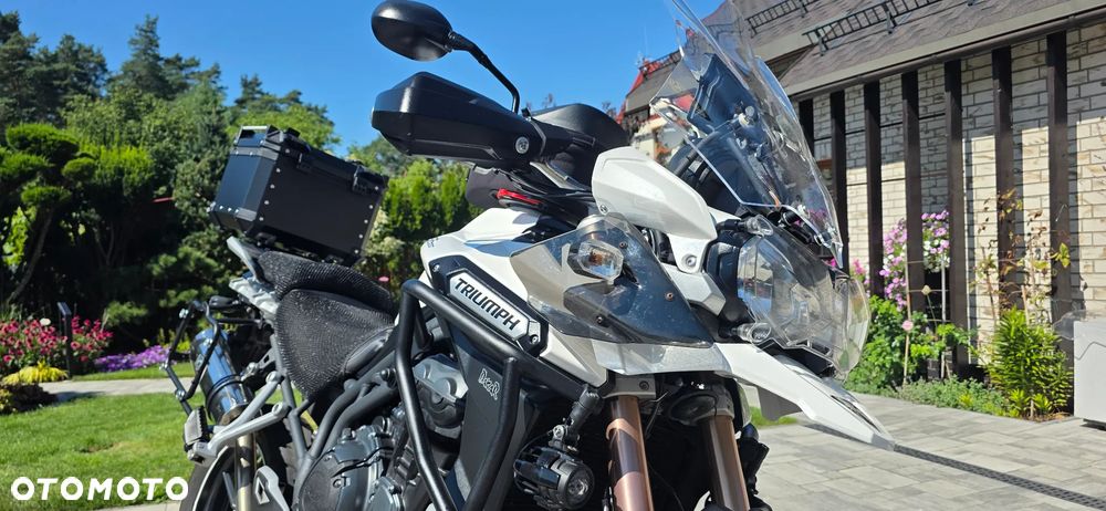 Triumph Tiger - 3