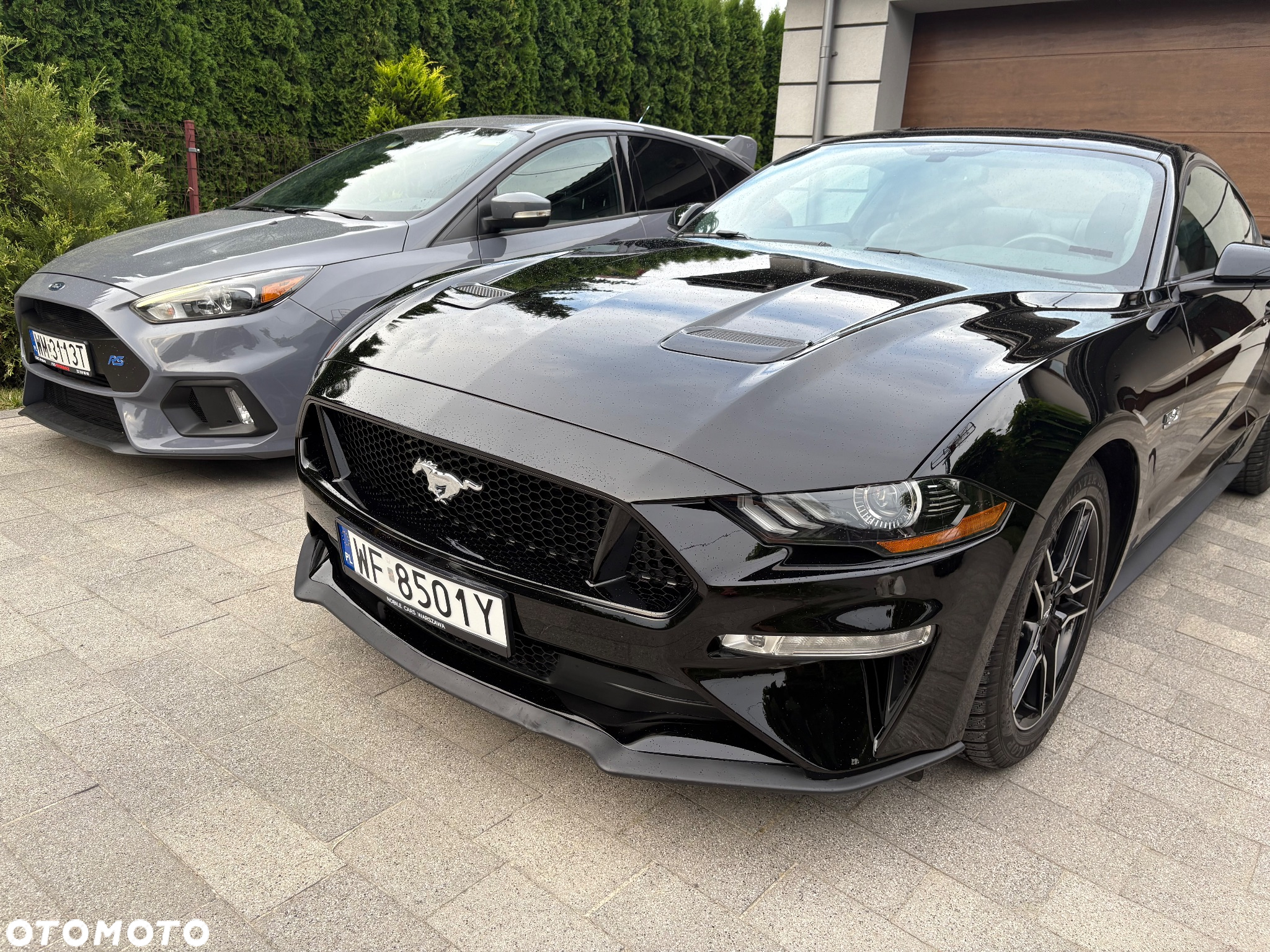 Ford Mustang Fastback 5.0 Ti-VCT V8 MACH1 - 6