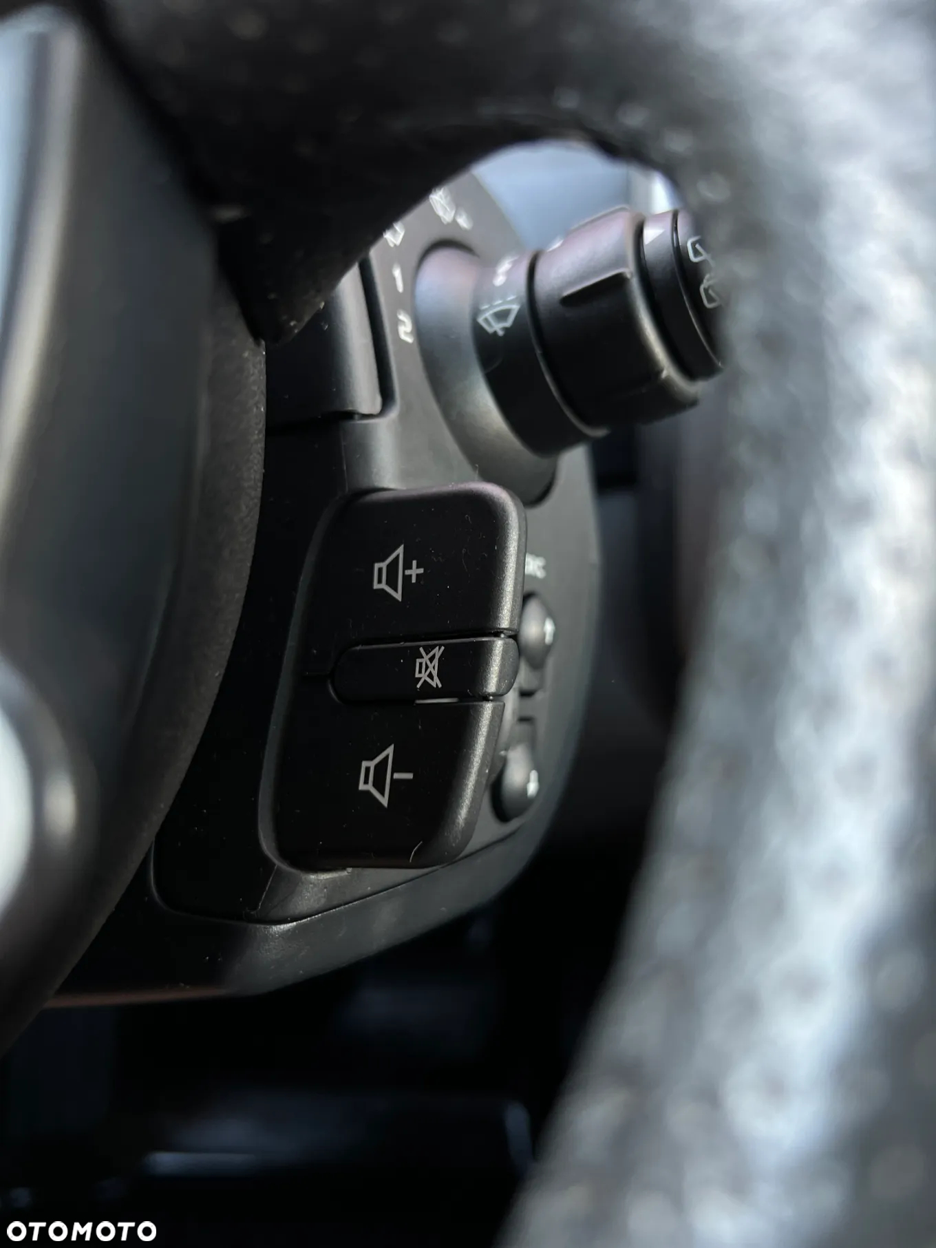 Renault Scenic - 23