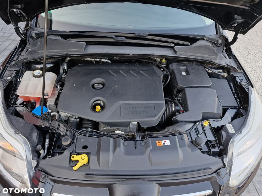 Ford Focus - 29