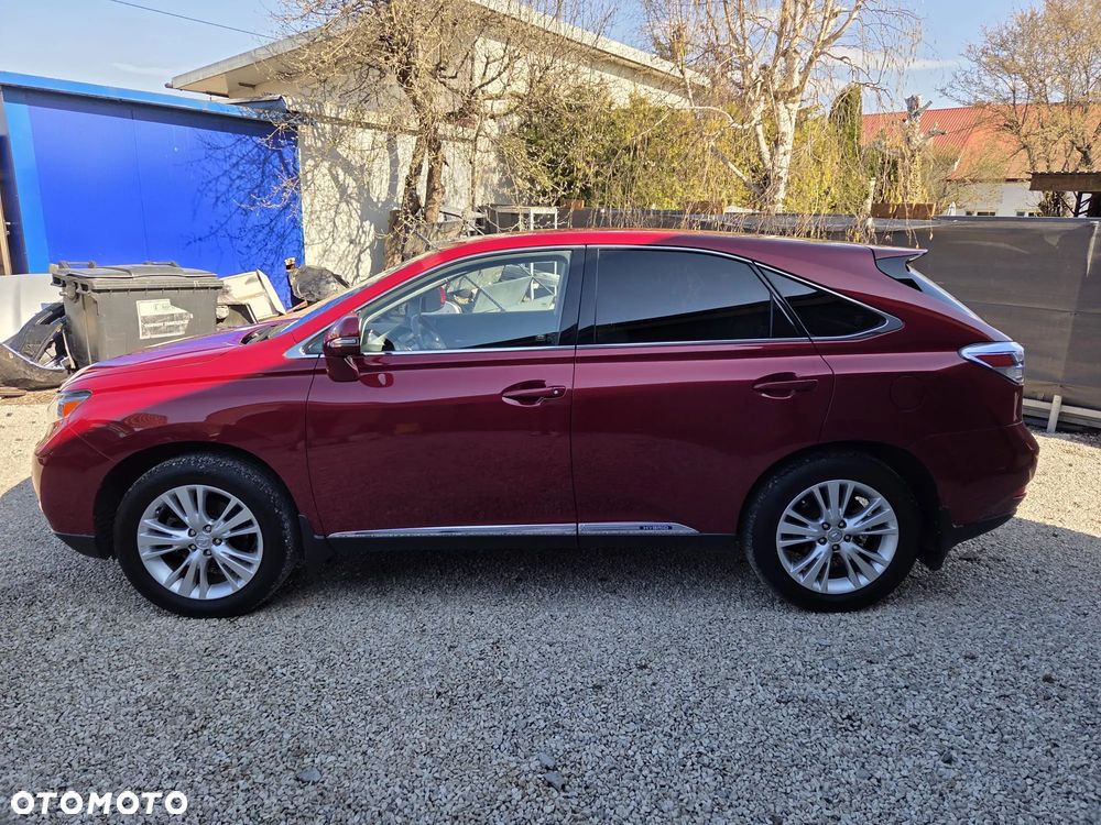Lexus RX - 10