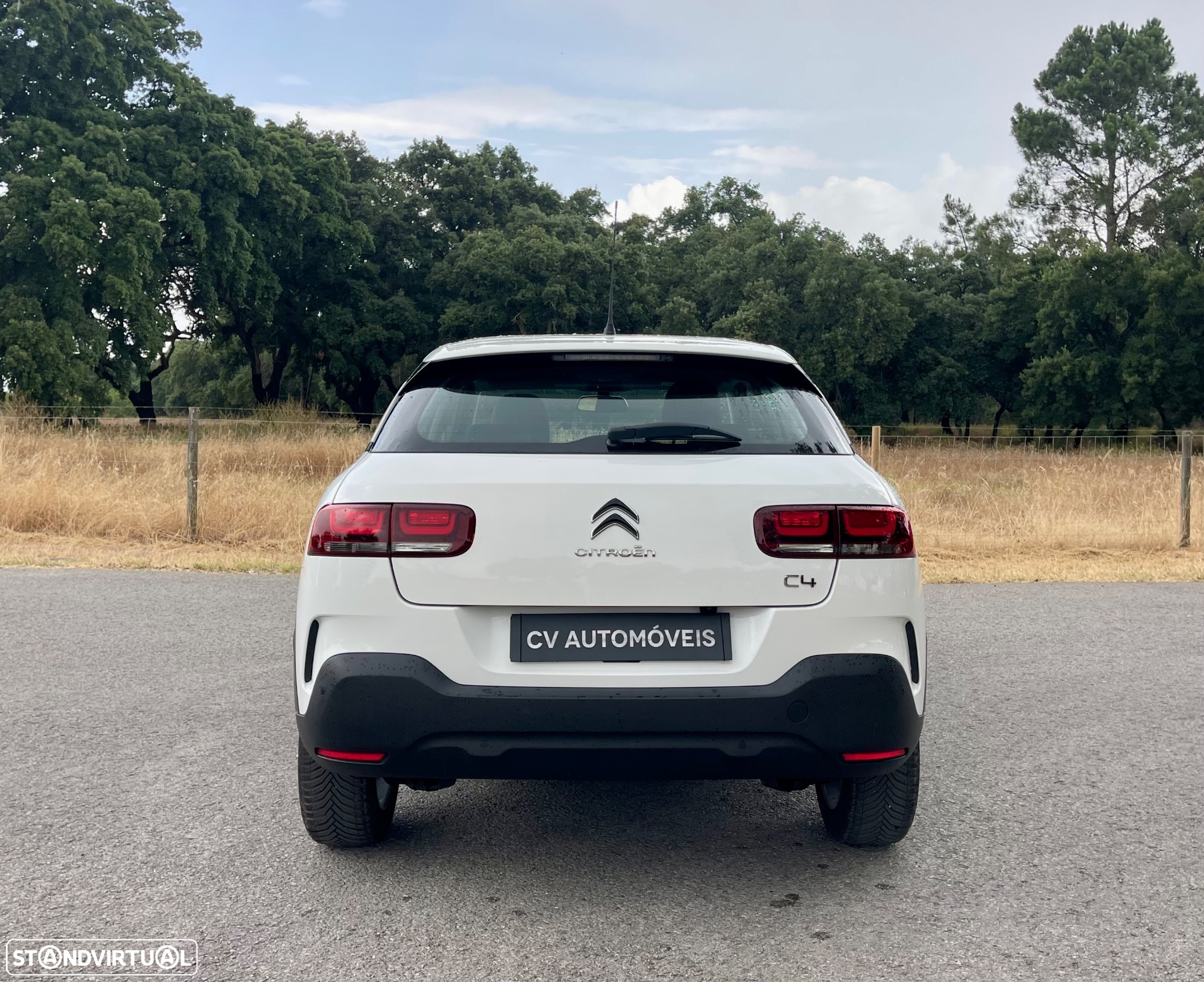 Citroën C4 Cactus 1.5 BlueHDi Feel - 6