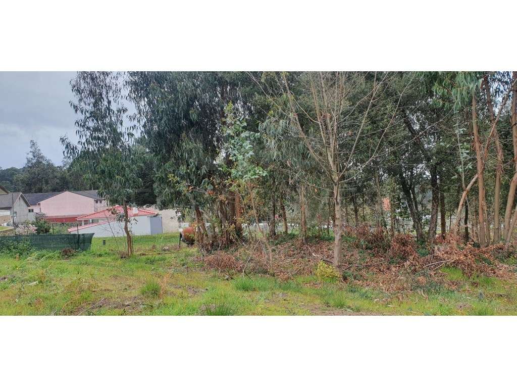 Lote na freguesia de Forjães - Esposende com 2000m2 de terreno. - Grande imagem: 5/6