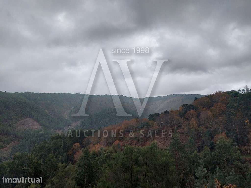 Terreno rústico - Terra Nova, Área de Gondramaz - VILA NOVA - MIRAN... - Grande imagem: 5/5