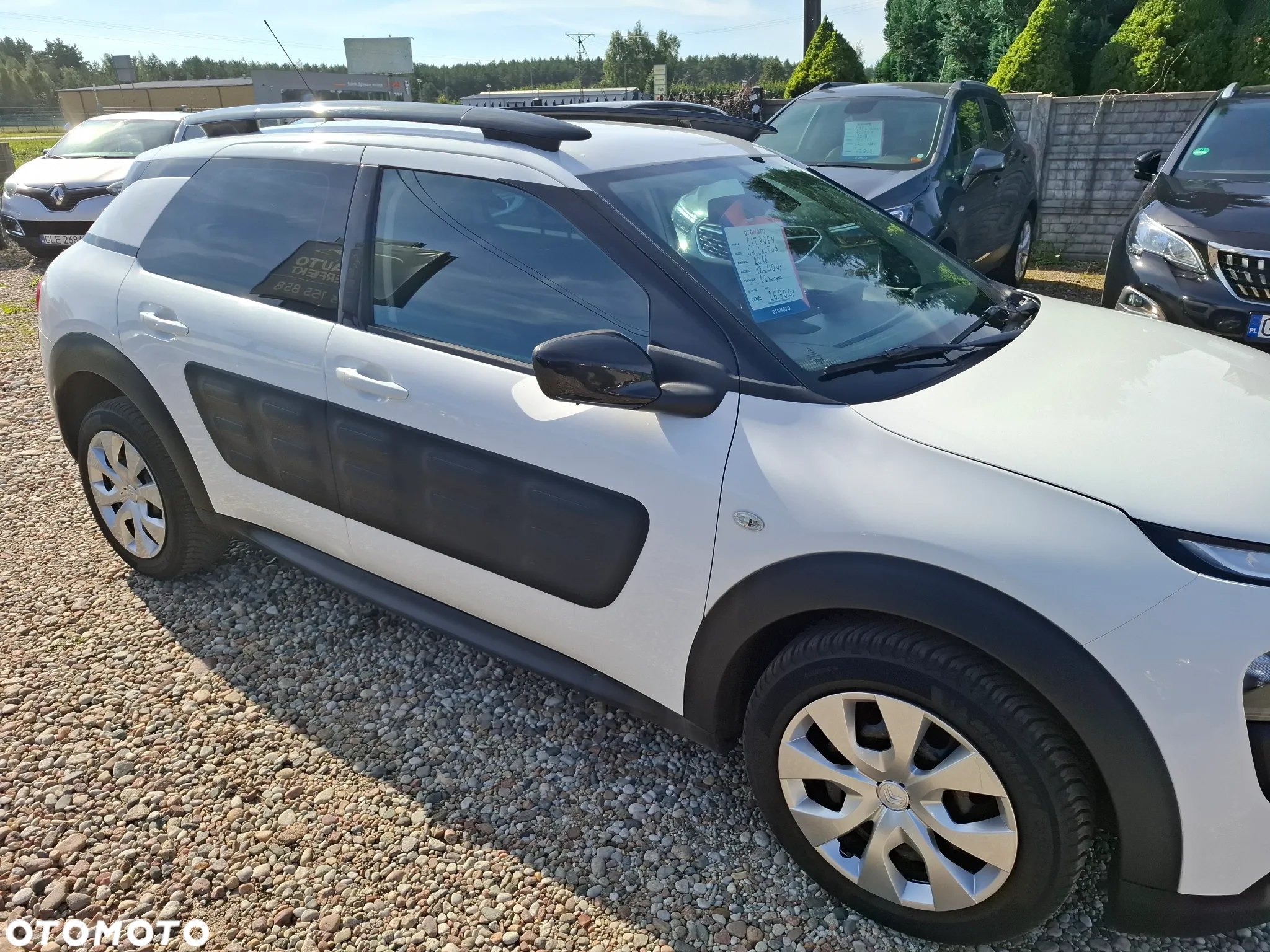 Citroën C4 Cactus 1.2 PureTech Feel Elite EU6 - 5