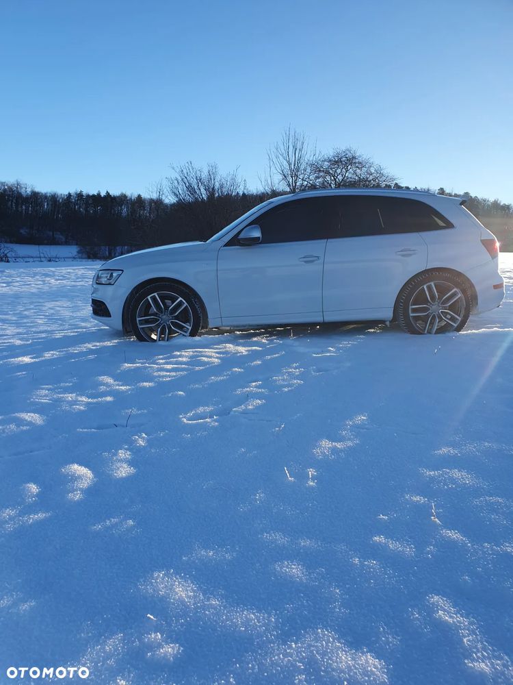 Audi SQ5 3.0 TDI Quattro Tiptronic - 21