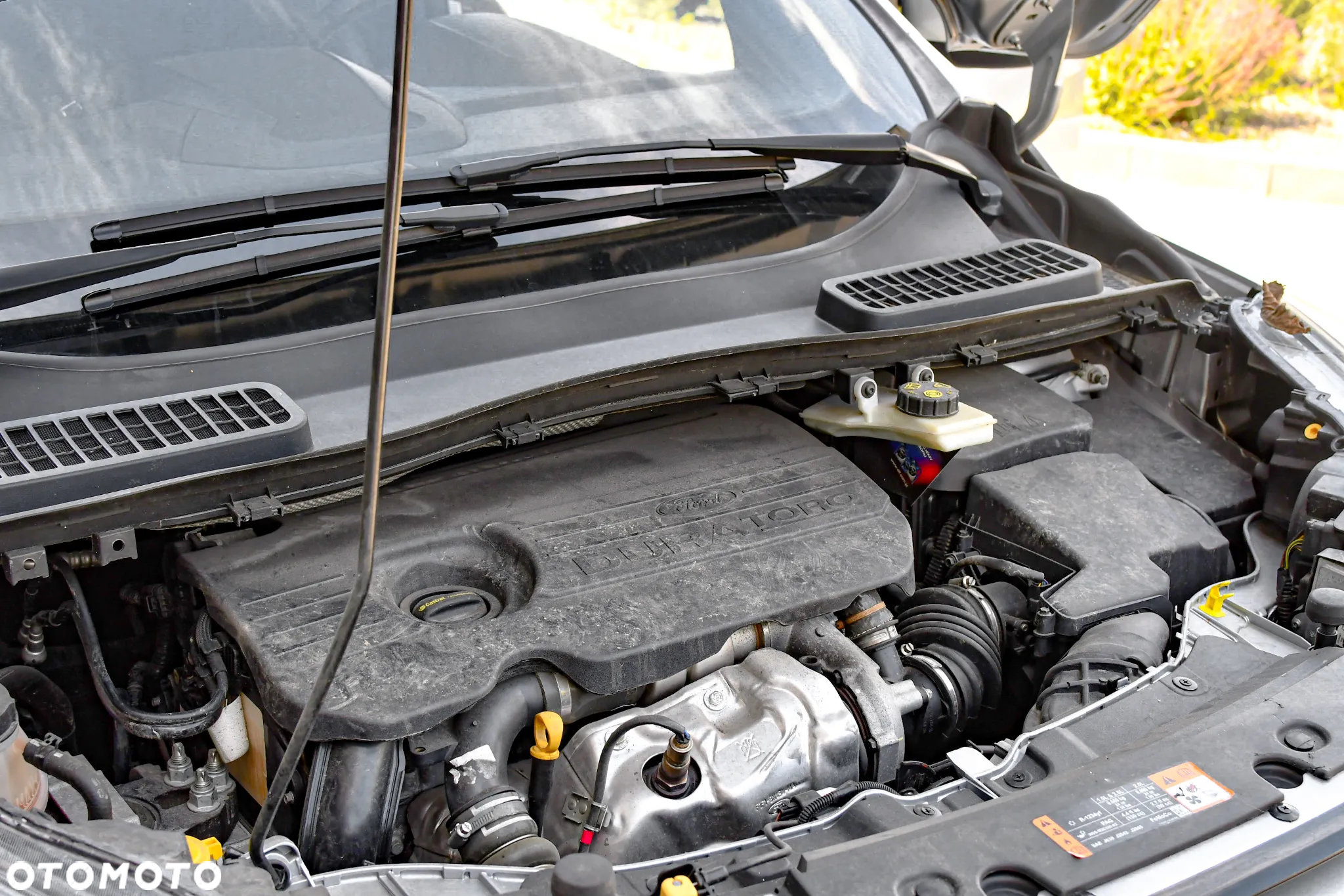 Ford Kuga 1.5 TDCi FWD ST-Line - 17