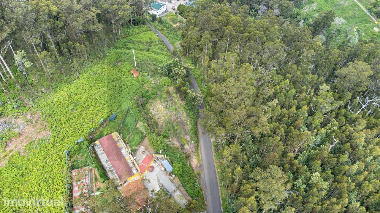 Oportunidade Única no Arco da Calheta – Terreno Urbano com 5.181 m2 - Grande imagem: 5/26
