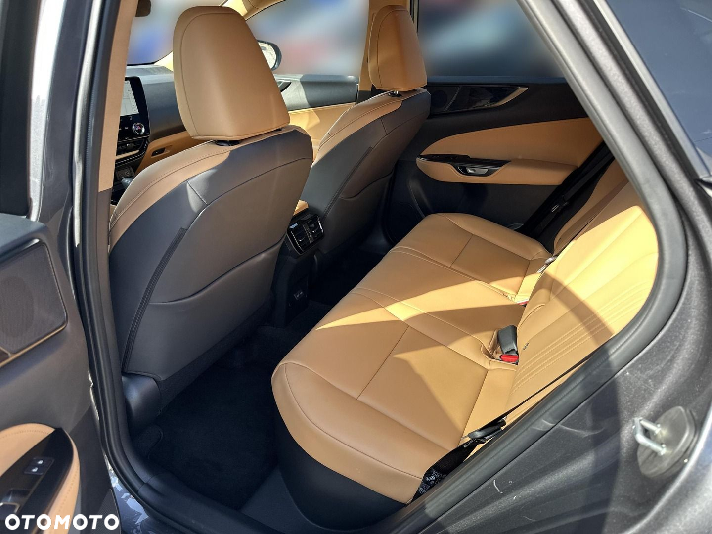 Lexus NX - 12