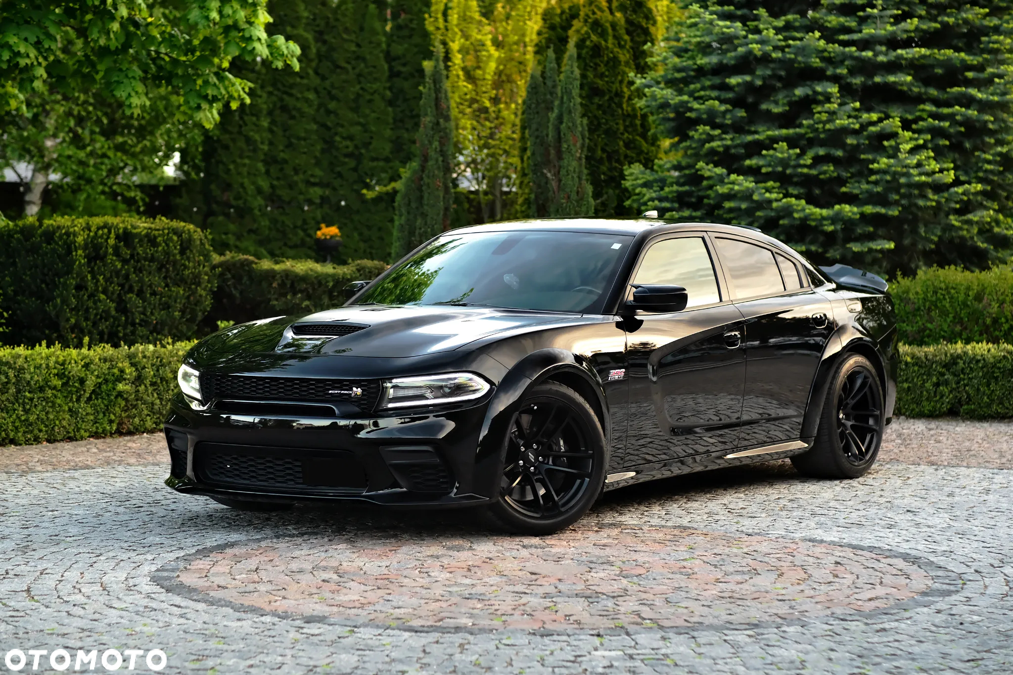 Dodge Charger 6.4 Scat Pack Widebody - 18