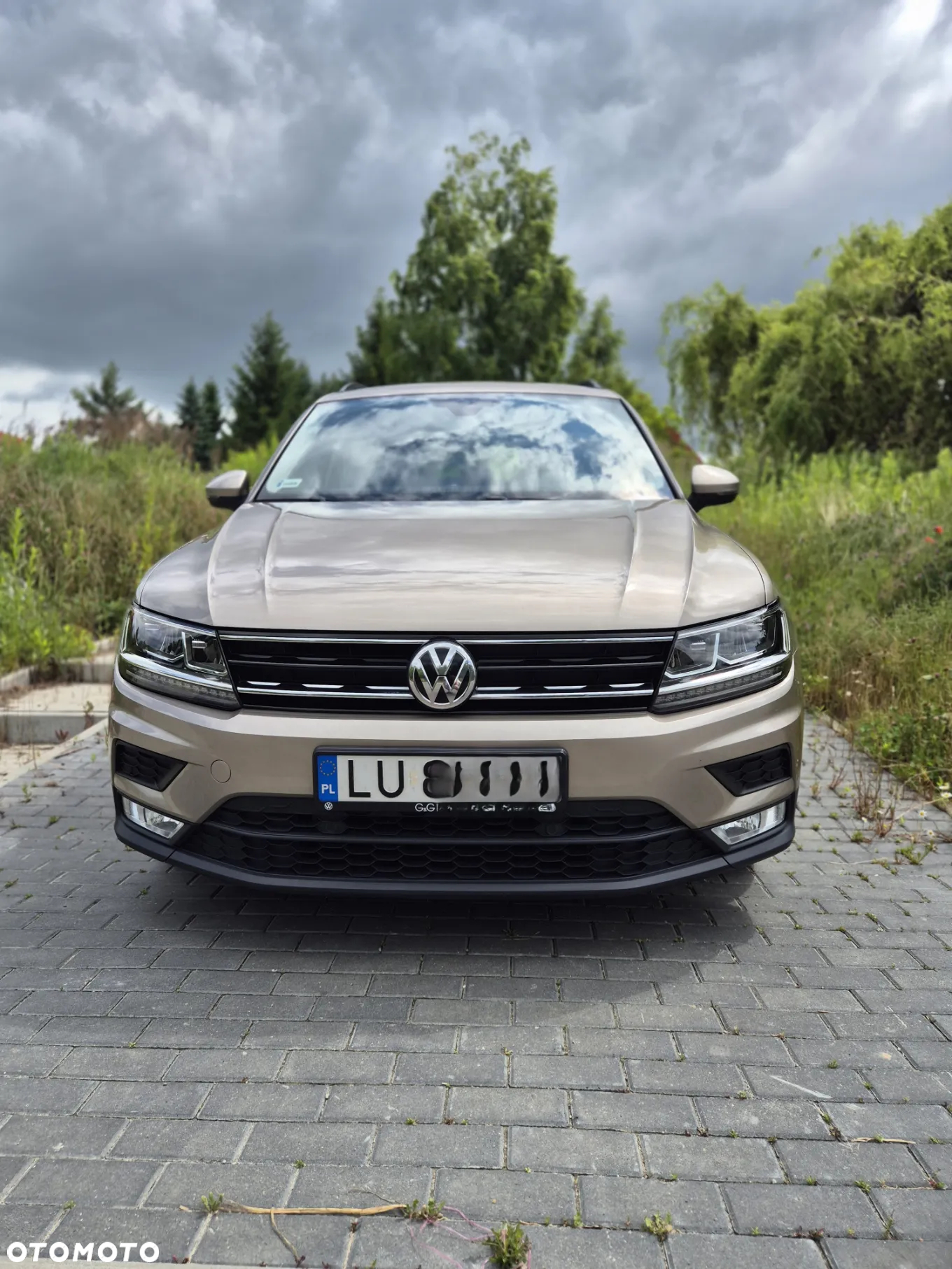 Volkswagen Tiguan 1.4 TSI BMT ACT Comfortline - 2