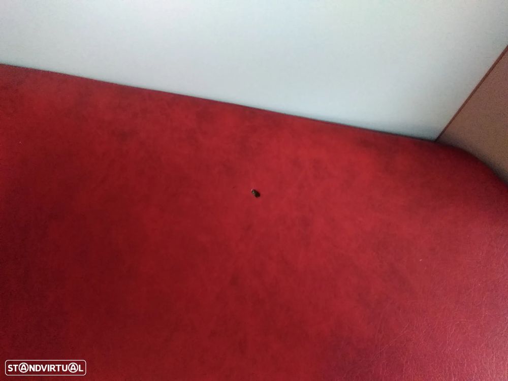 Fiat Ducato Fiat Ducato Campervan | 2 Dormidas | Cozinha | Pronto para Viajar - 25