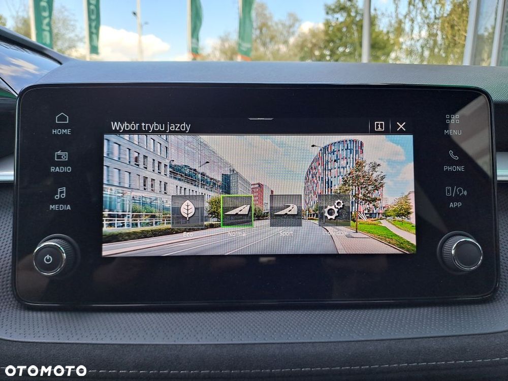 Skoda Fabia 1.5 TSI Monte Carlo DSG - 15