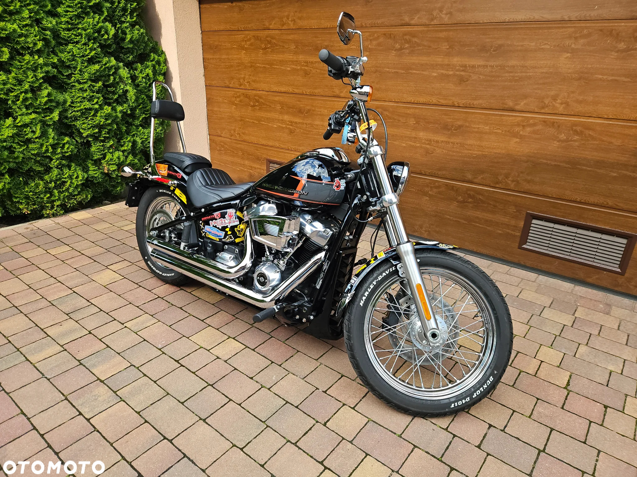 Harley-Davidson Softail Standard - 6