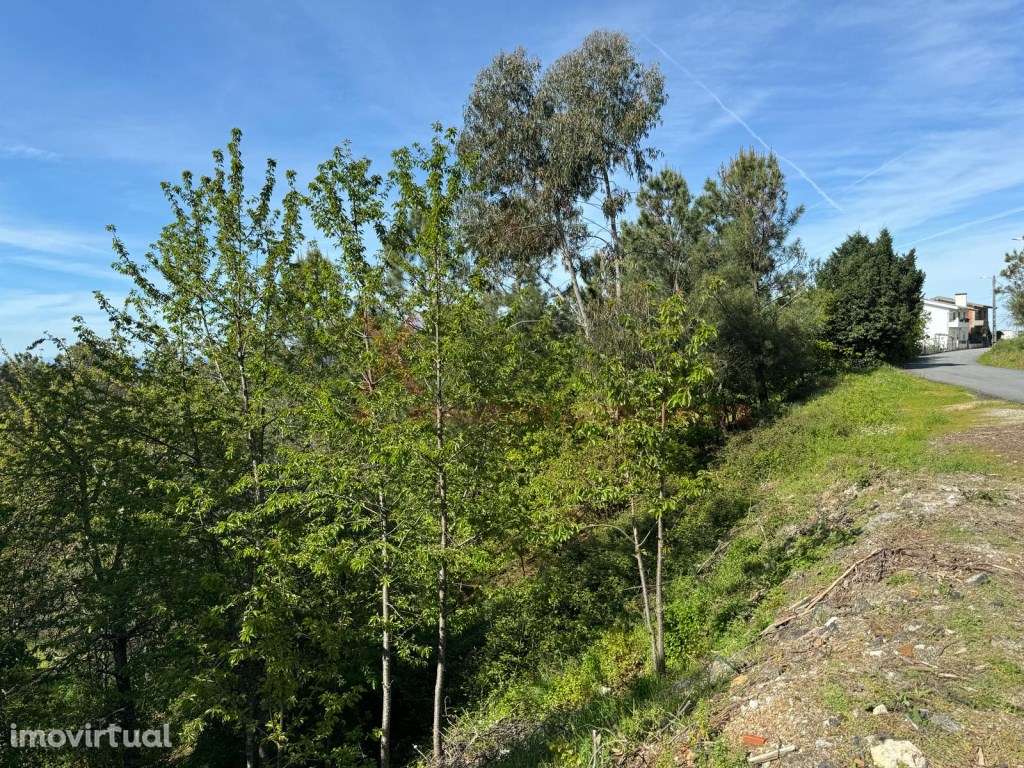 Terreno para Construção em São Romão - Seia - Serra da Estrela - Grande imagem: 4/6