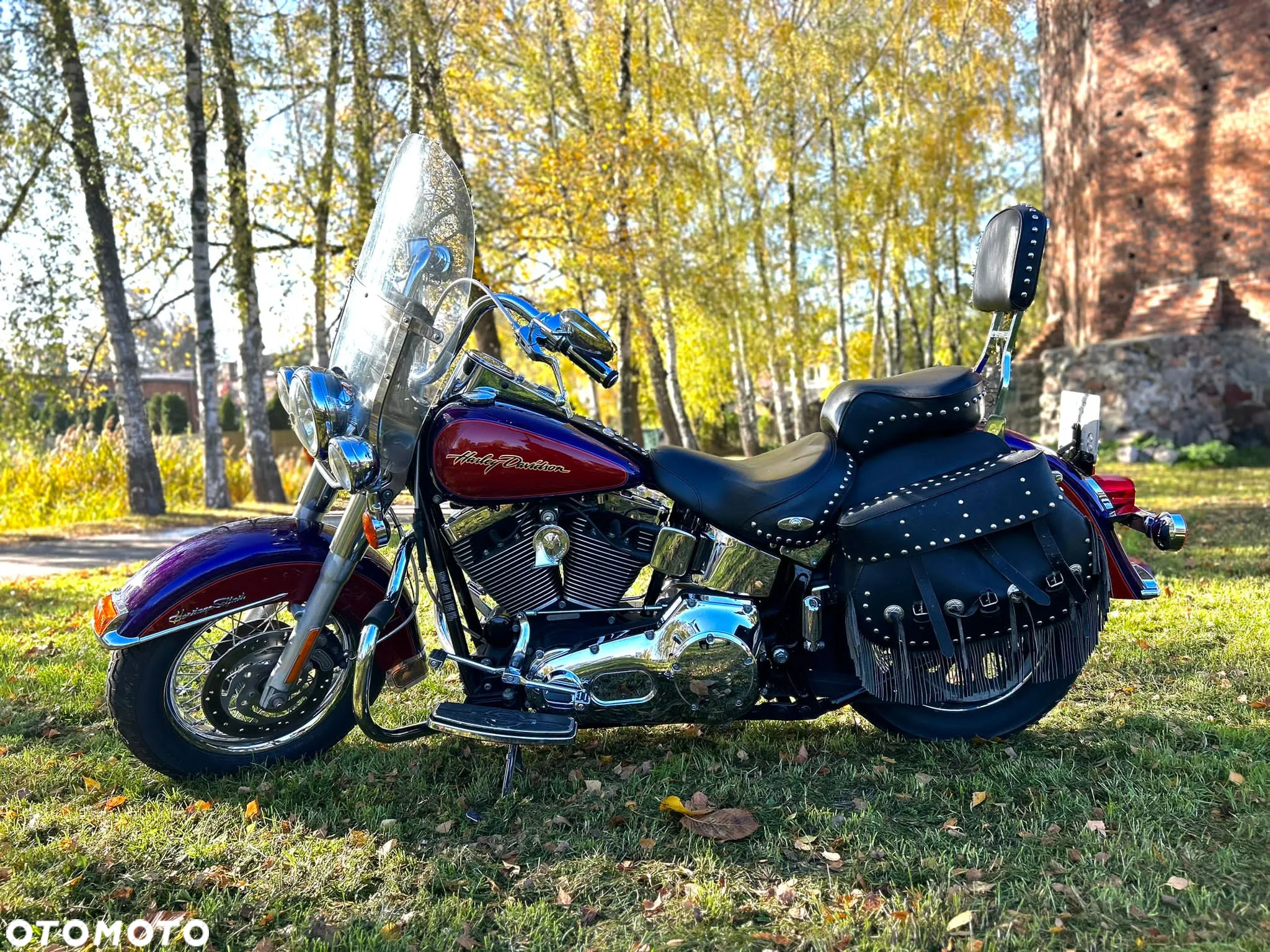 Harley-Davidson Softail - 13