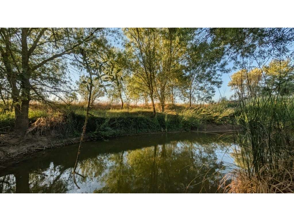 Um paraíso em Ferreira do Alentejo que poderá ser seu - Grande imagem: 2/60