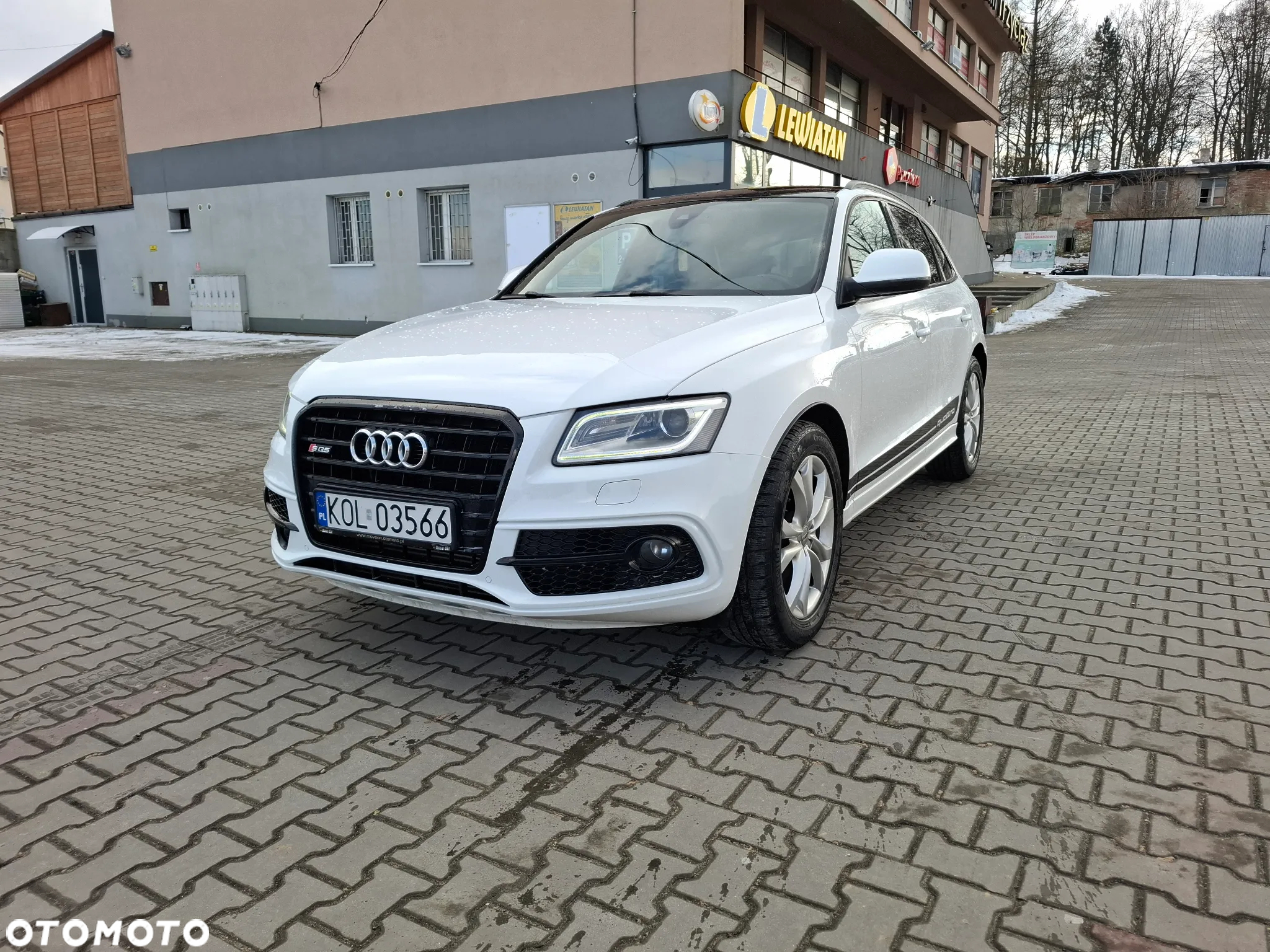 Audi SQ5 3.0 TDI Quattro Tiptronic EU6 - 17