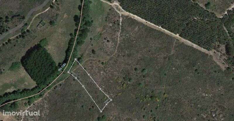 terreno com 2 hectares - Grande imagem: 2/2