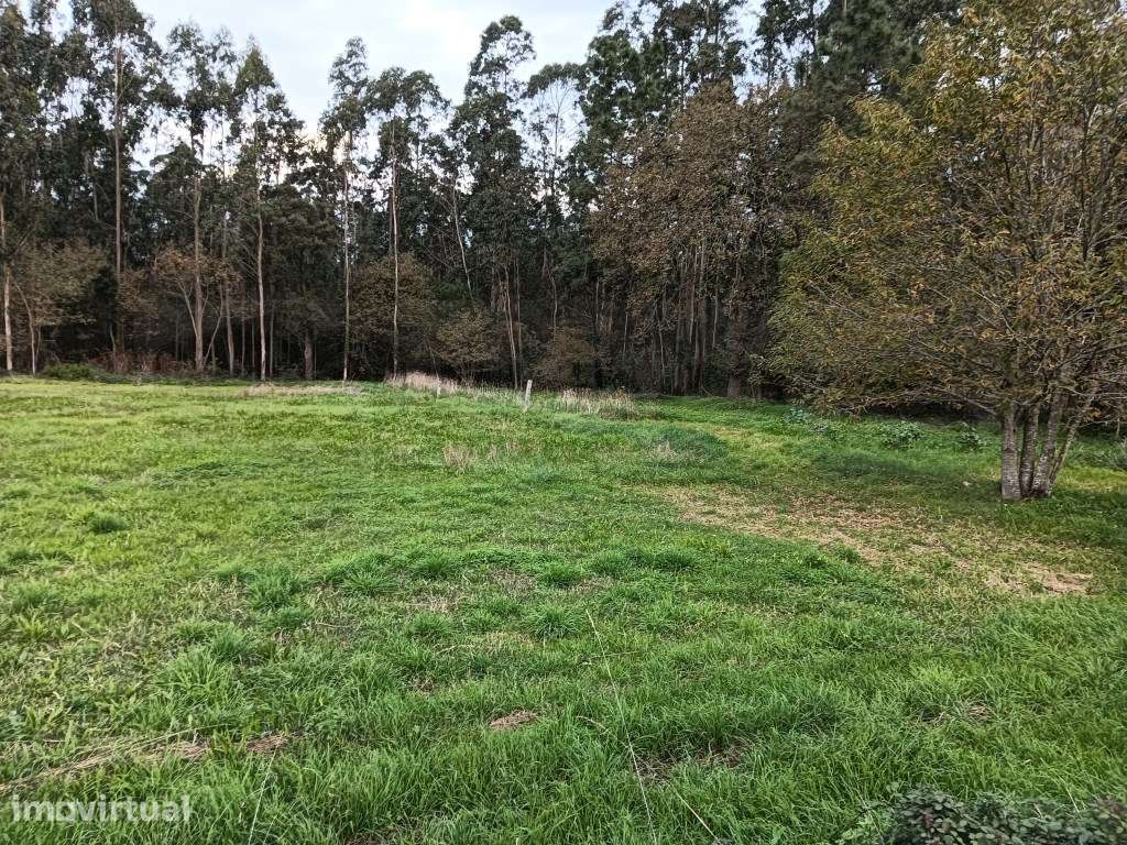Terreno com 37m de frente - Estarreja - Grande imagem: 3/6