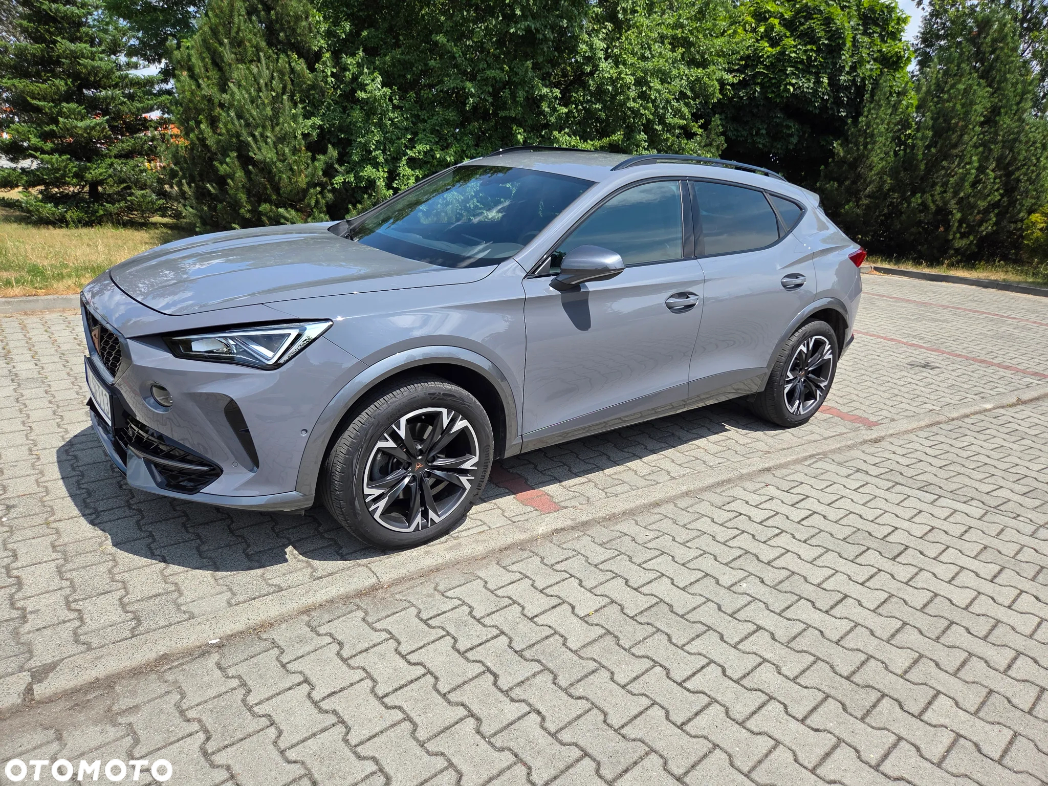 Cupra Formentor 1.5 TSI DSG - 17