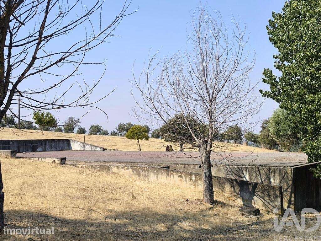 Prédio em Monforte de 4115 m2 - Grande imagem: 5/24