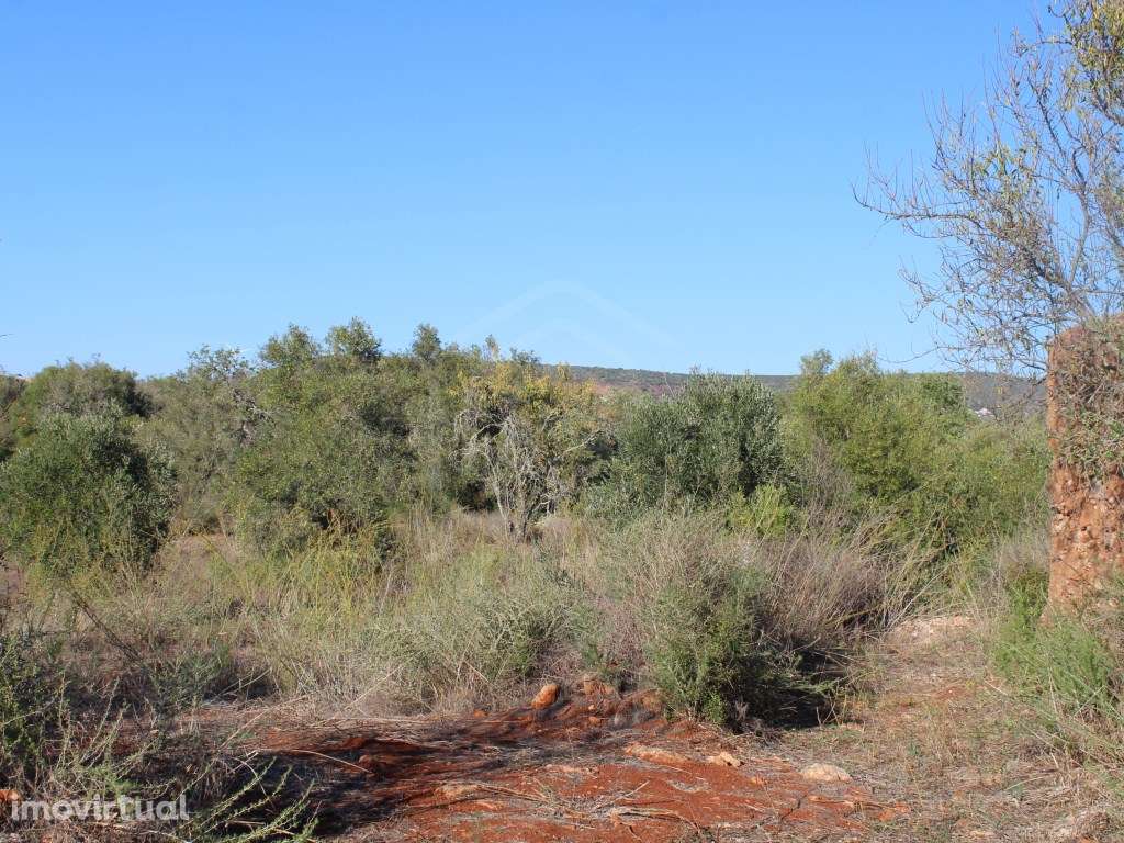 Terreno com ruína no Barrocal Algarvio, São Bartolomeu de Messines - Grande imagem: 3/18