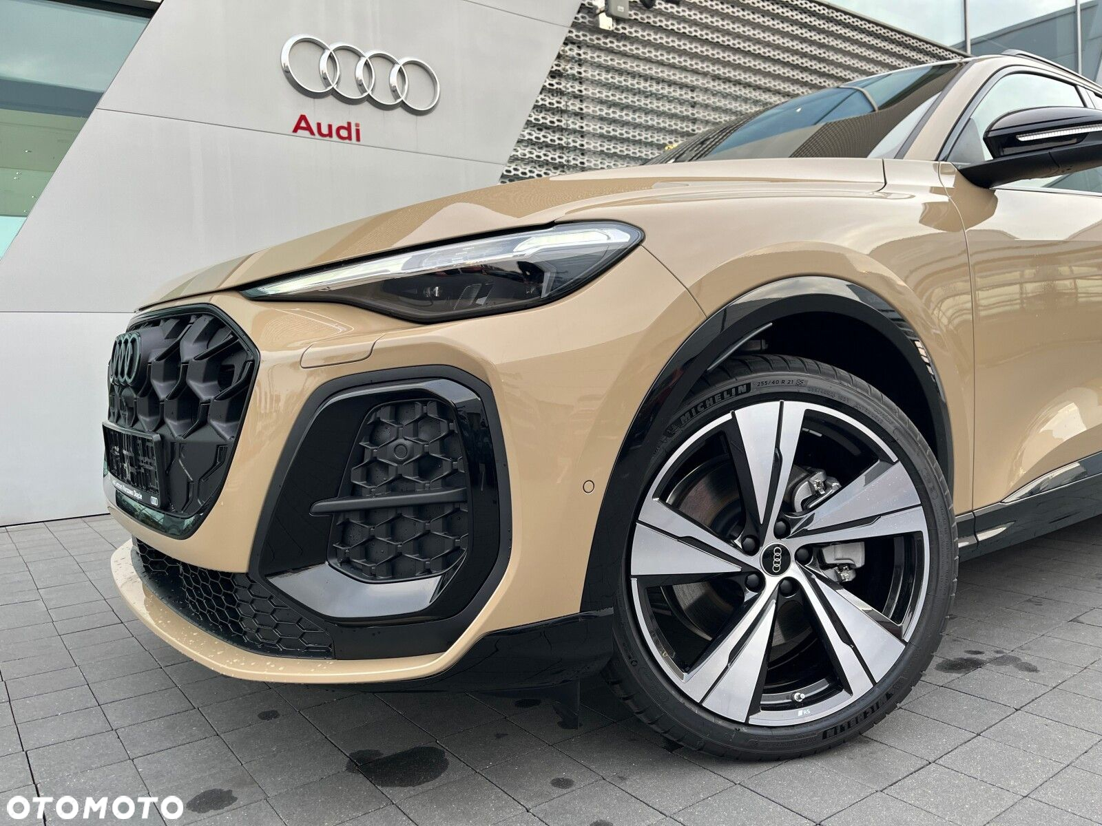 Audi Q5 - 17