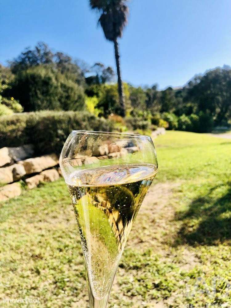 Moradia isolada T6 em Conceição e Estoi - Grande imagem: 5/40