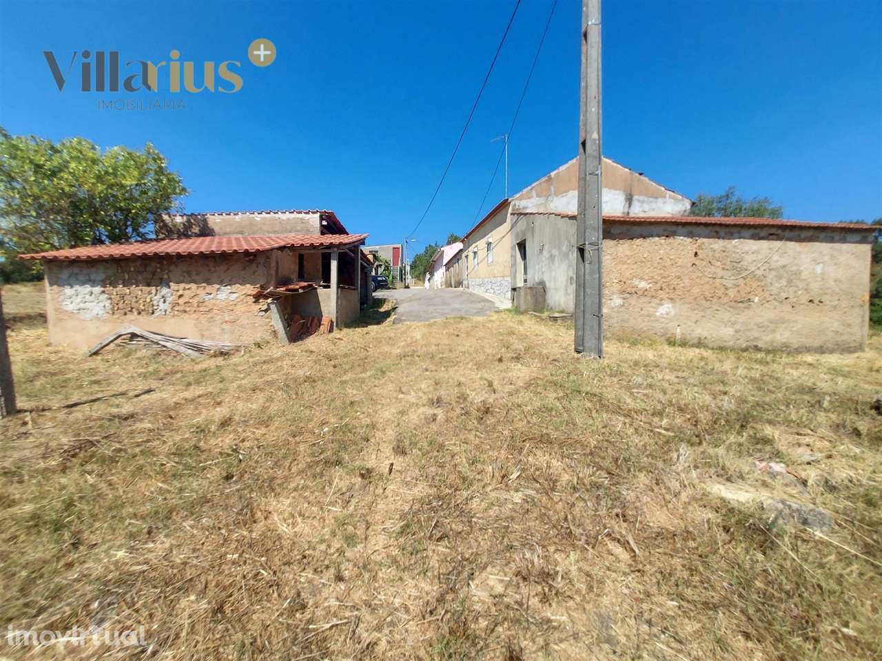 Moradia T3 com Terreno em Tomar | 18.760 m² - Grande imagem: 4/50