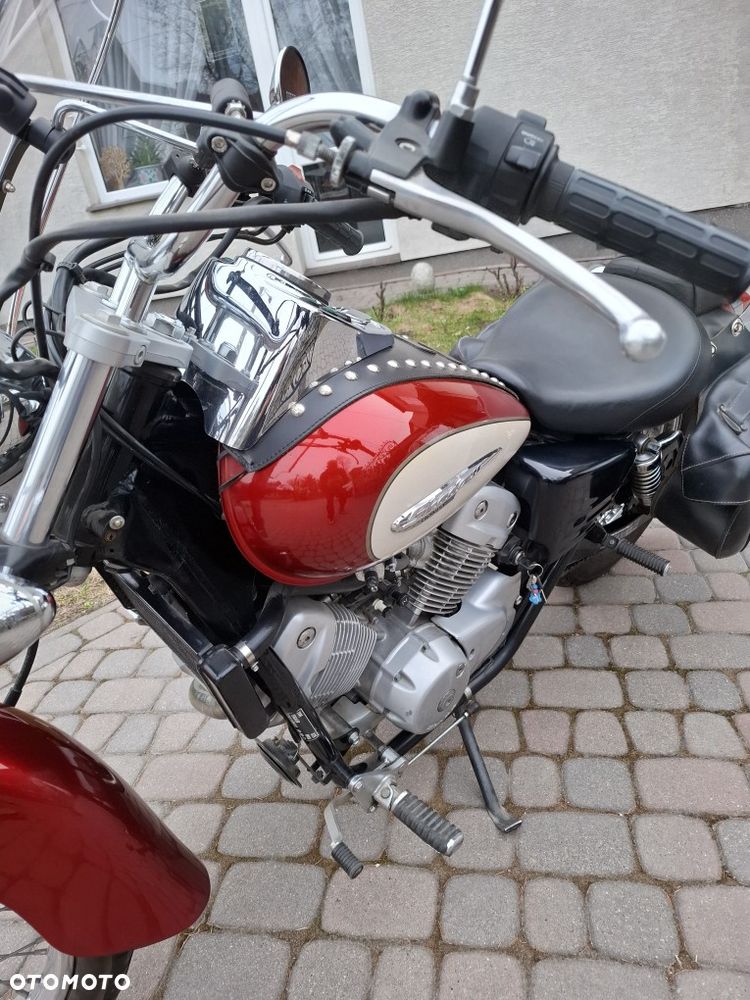 Honda Shadow - 1