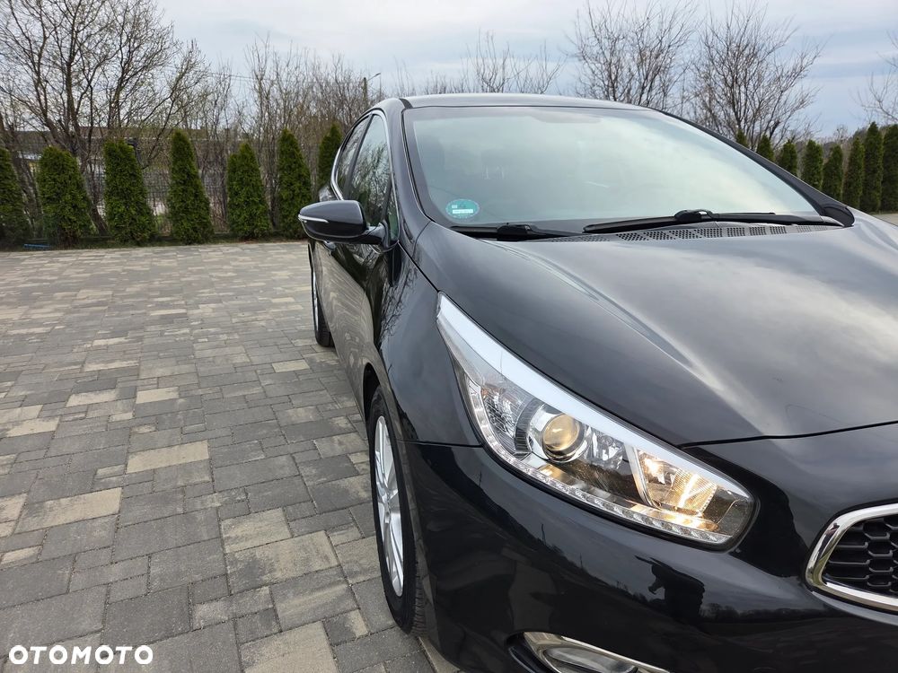 Kia Ceed 1.6 GDI ISG Dream Team Edition - 18