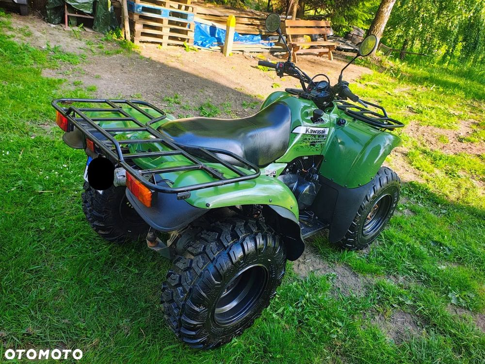 Kawasaki Brute Force - 6