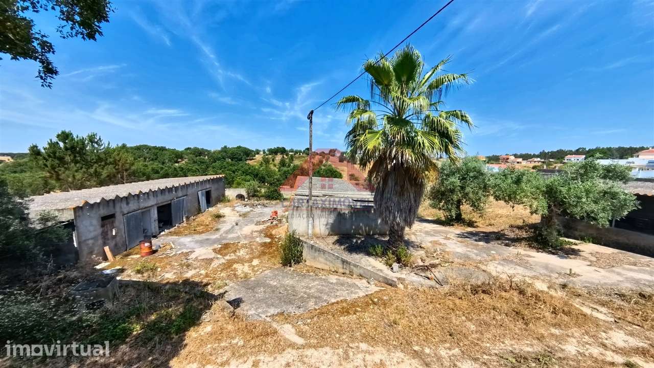 Terreno Para Construção  Venda em Cartaxo e Vale da Pinta,Cartaxo - Grande imagem: 3/25