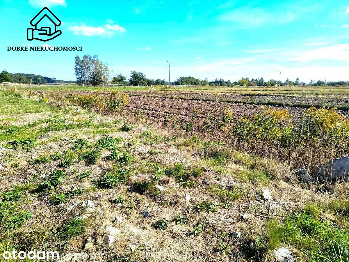 Działka 1600 m2 - Rokitno - Lubartów - Pełny obrazek: 5/5