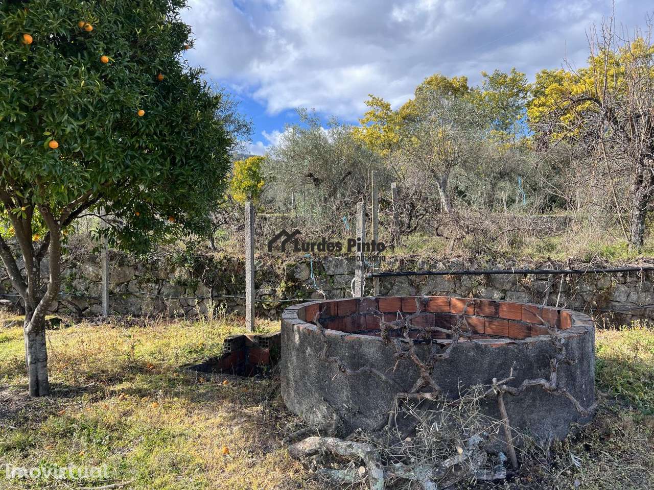Quinta com vista para a serra - Grande imagem: 5/18