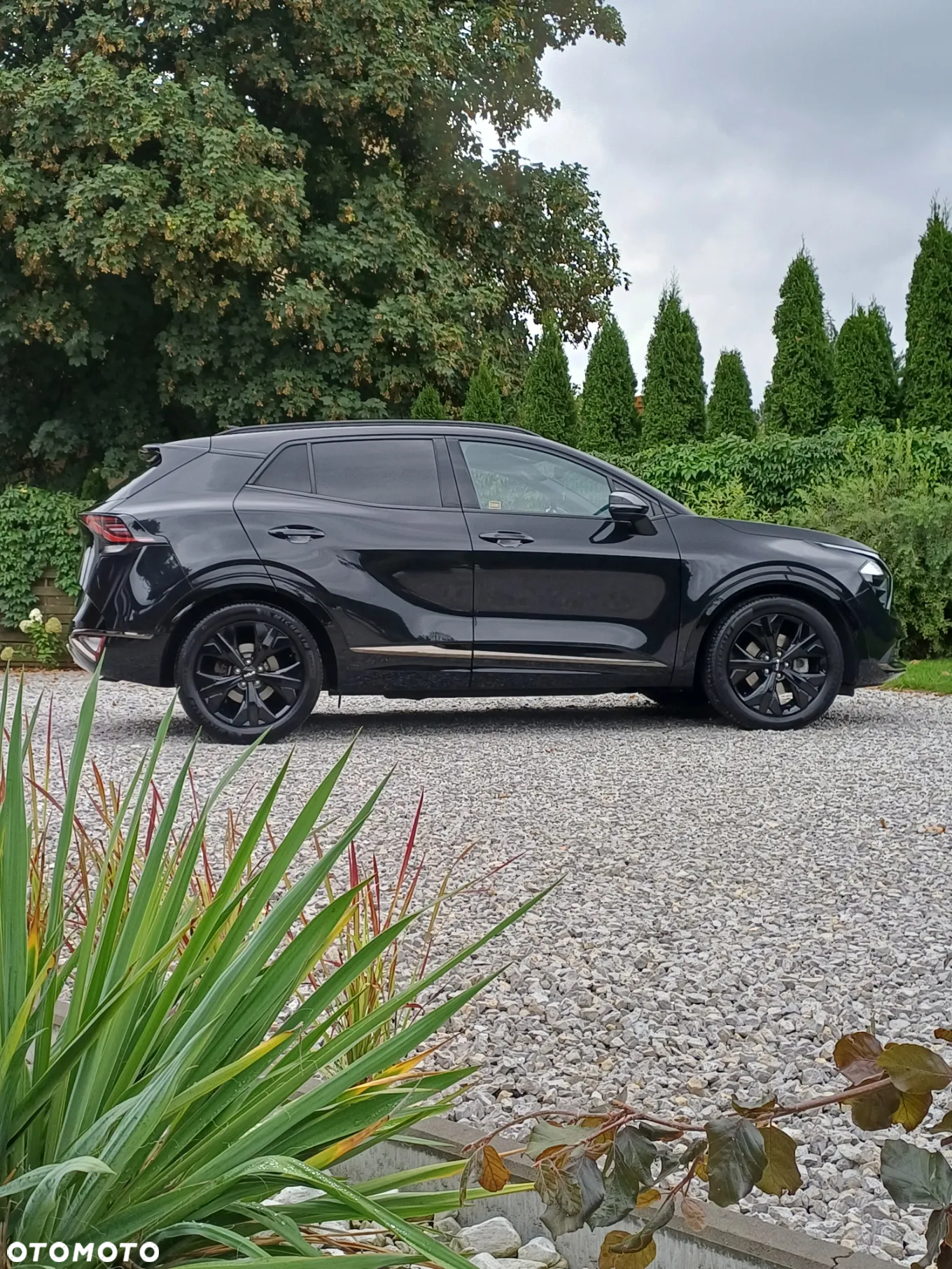 Kia Sportage 1.6 T-GDI Anniversary 2WD DCT - 9