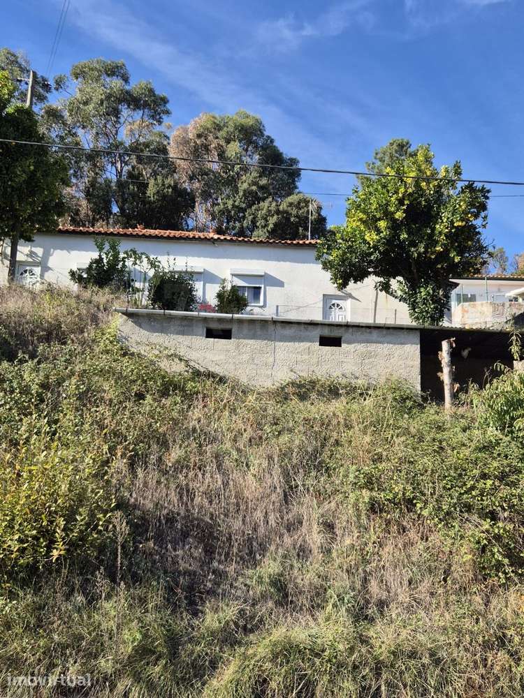 Casa de um pavimento e quintal - Grande imagem: 2/16