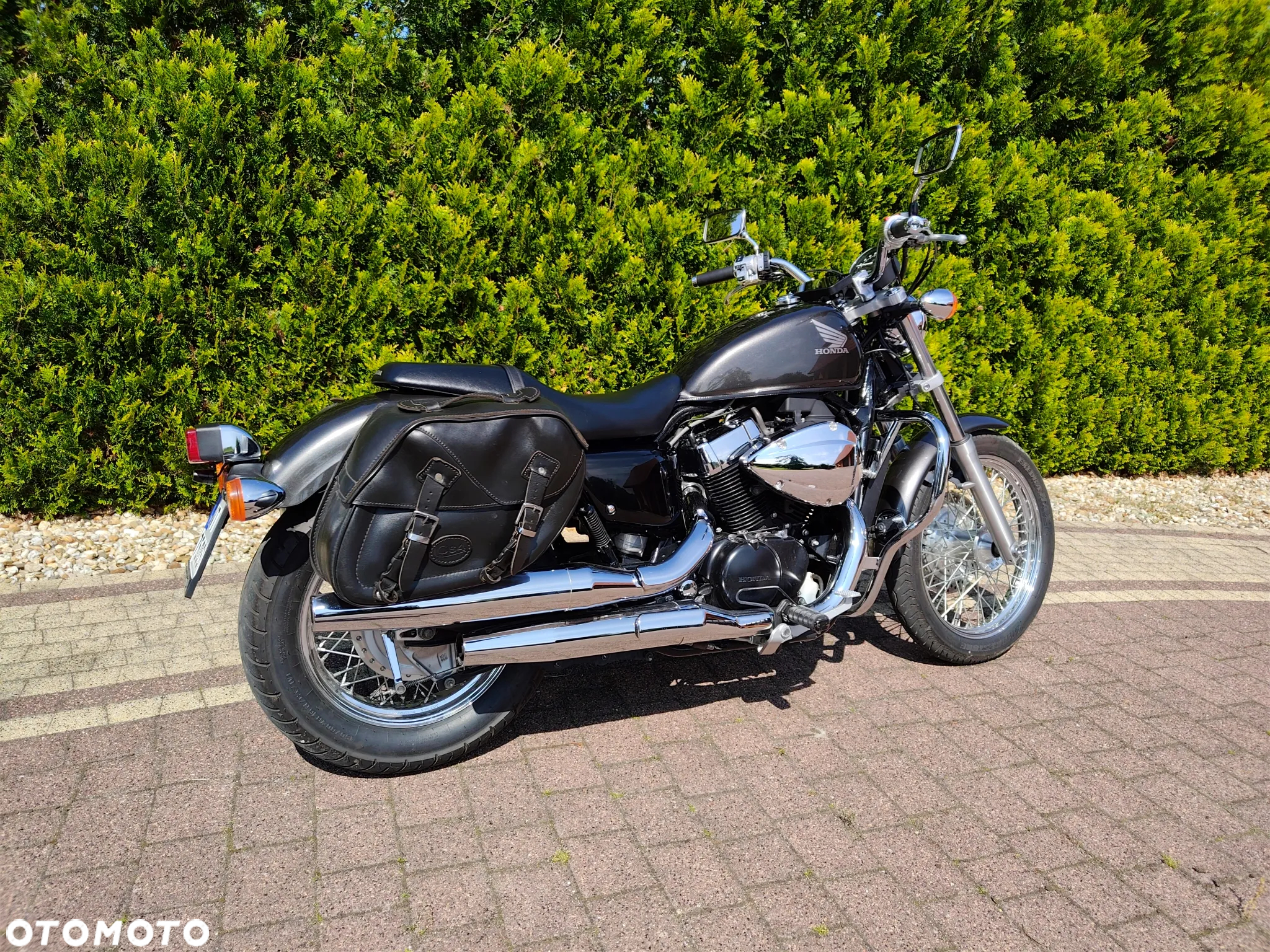 Honda VT - 29