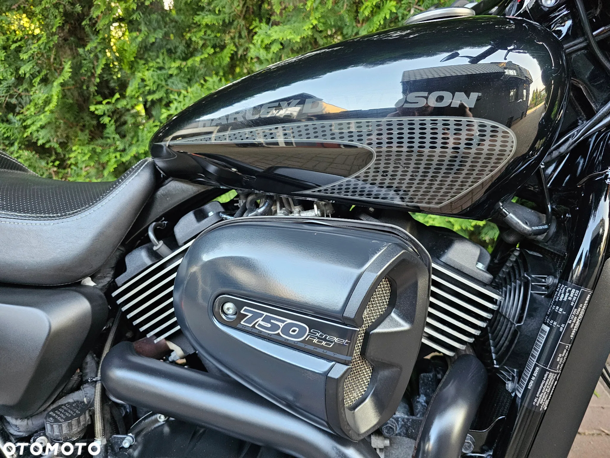 Harley-Davidson Street Rod XG 750A - 4