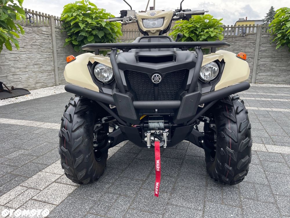 Yamaha Kodiak - 19