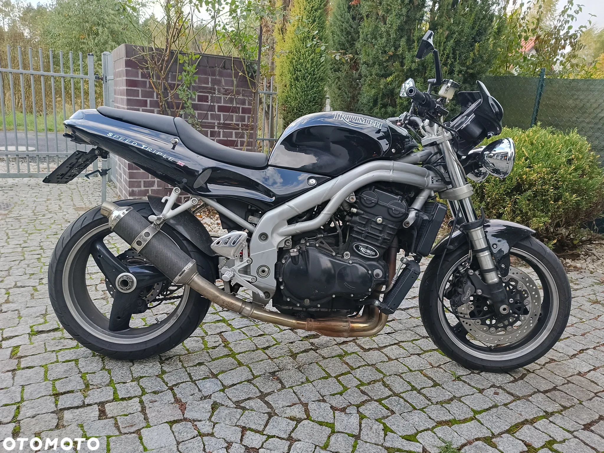 Triumph Speed Triple - 1