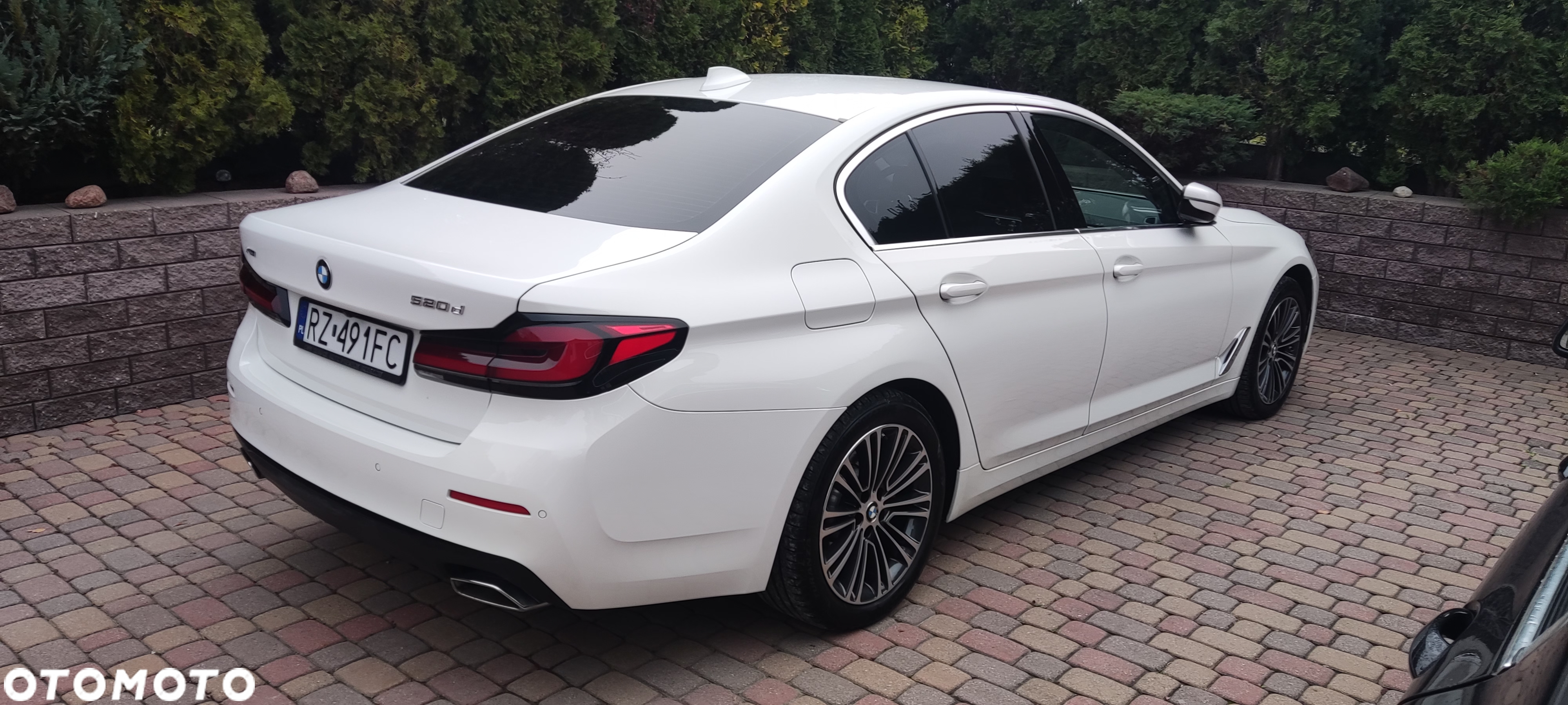 BMW Seria 5 - 20