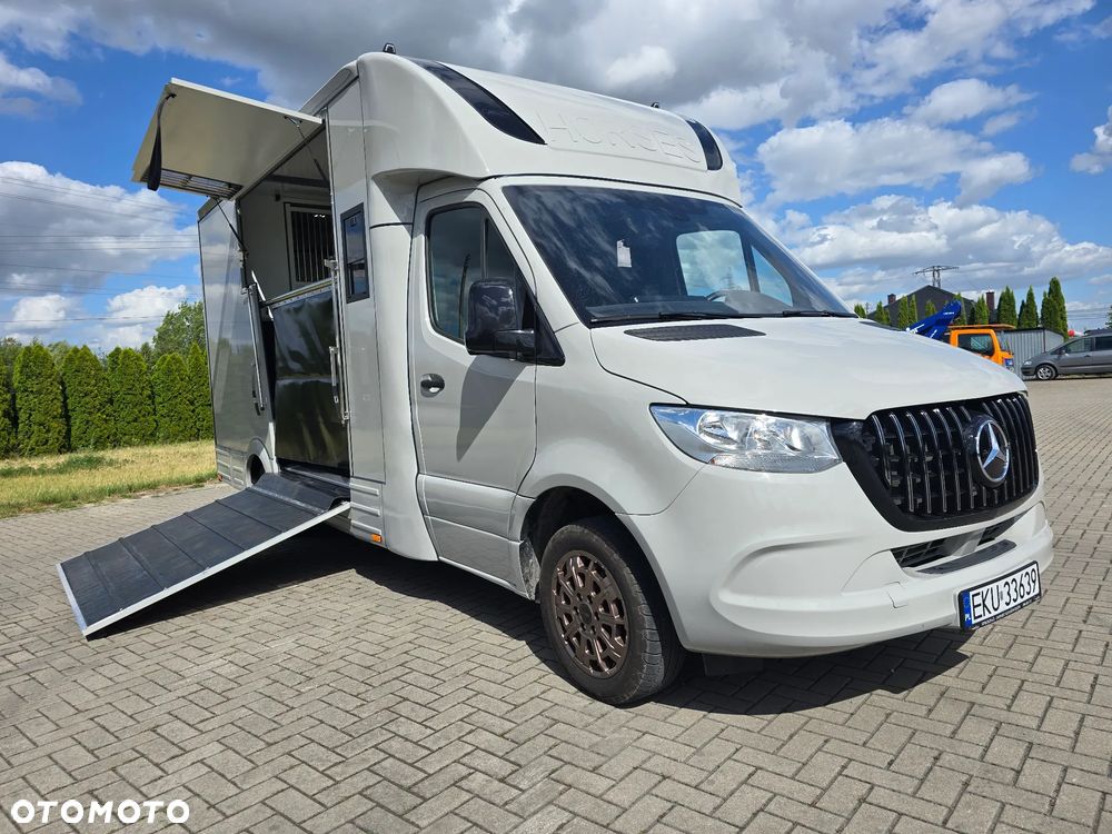 Mercedes-Benz Koniowóz-Sprinter - 1