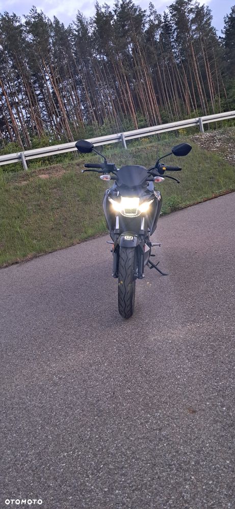 Suzuki GSX - 19