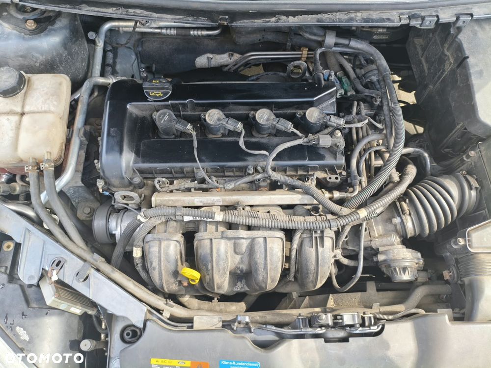 Ford Focus - 5