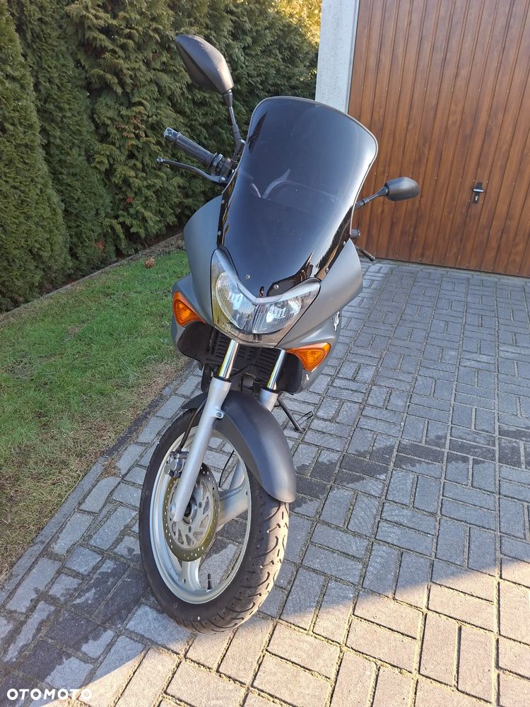 Honda Varadero - 5