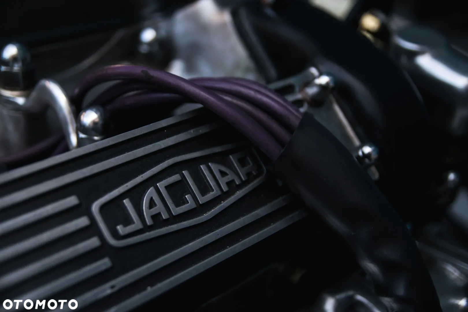 Jaguar E-Type - 15