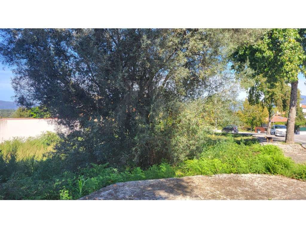 Lote de Terreno no centro da Vila - Grande imagem: 5/5